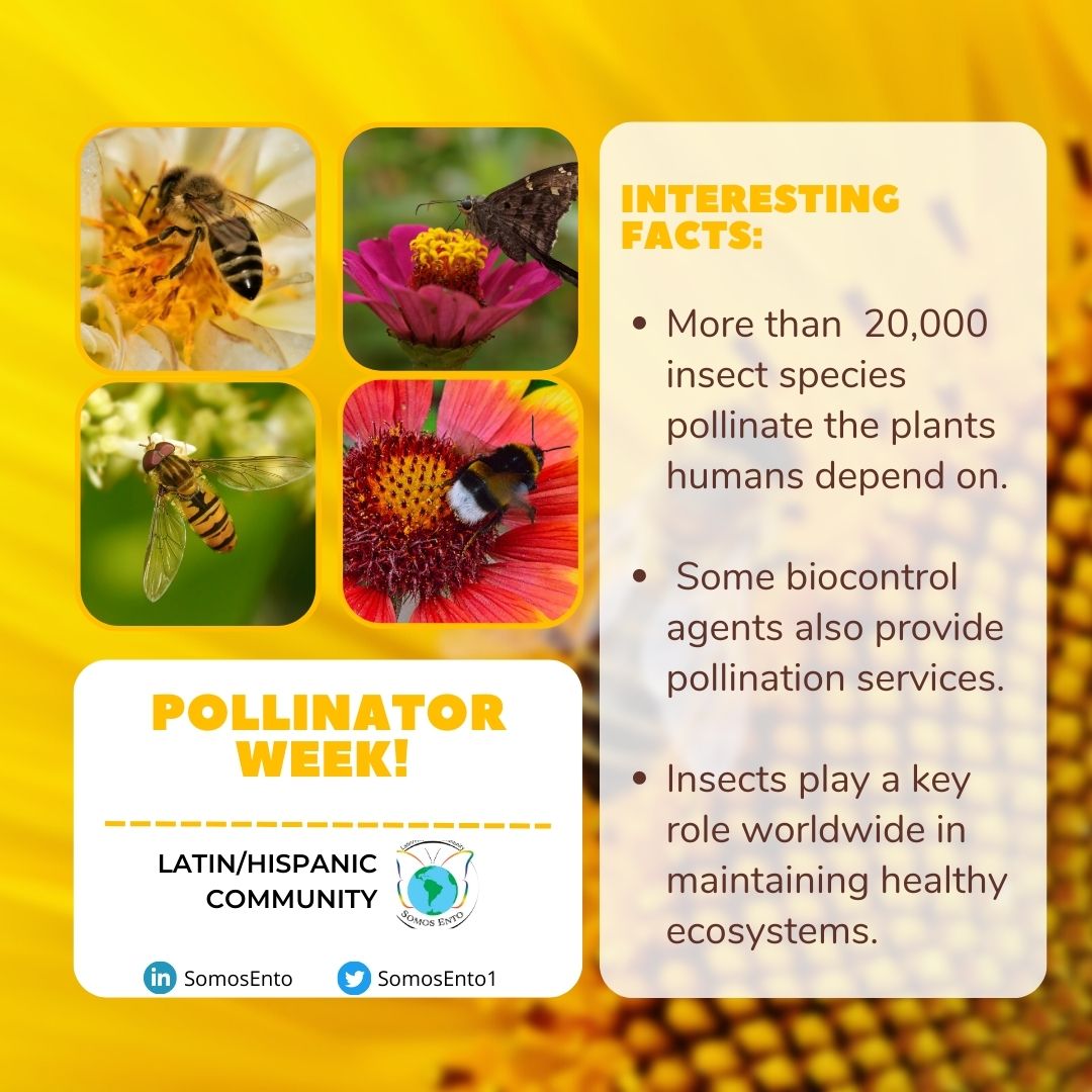 SomosEnto Latin/Hispanic Community at ESA tweet media