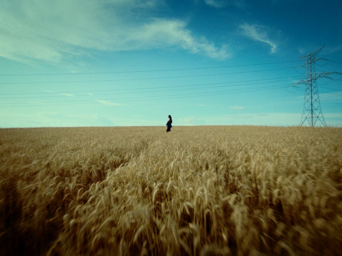 yungakita tweet media