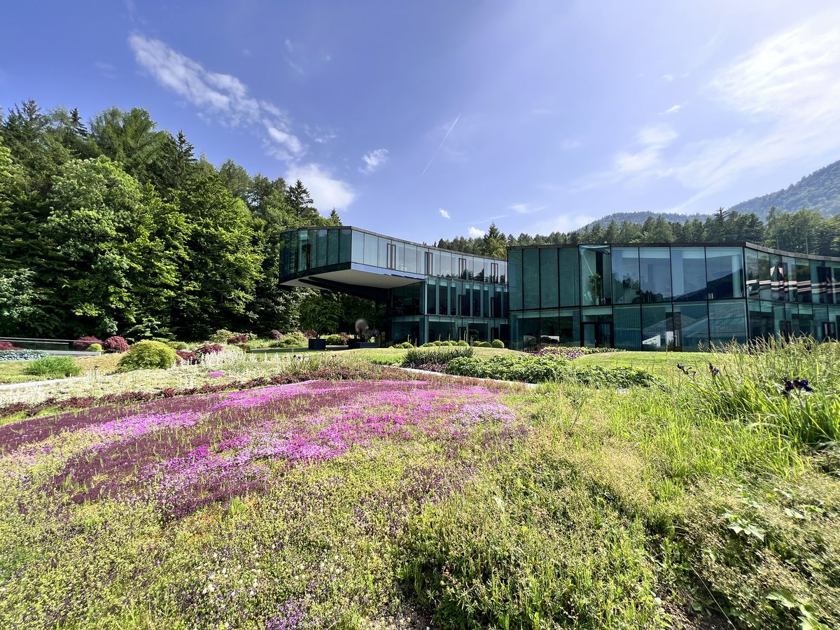 Ricki. Fei tweet media