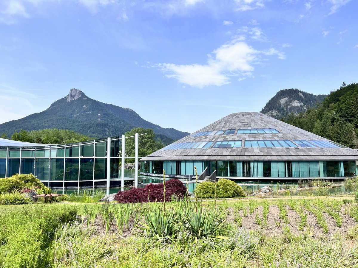 Ricki. Fei tweet media