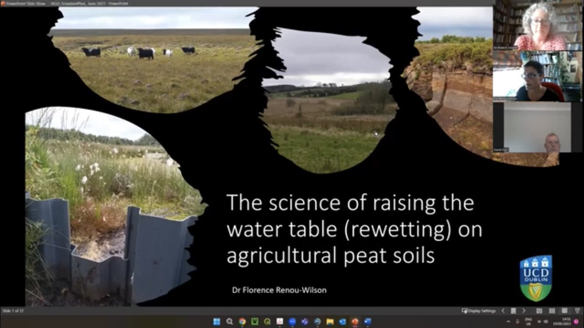 Earlier this wk we hosted a webinar where peatland expert @flo_renouwilson presented what we know/what we don’t know abt raising the water table (rewetting) on agricultural peat soils. Link here. youtu.be/tCbVJet26YQ Pls share widely.