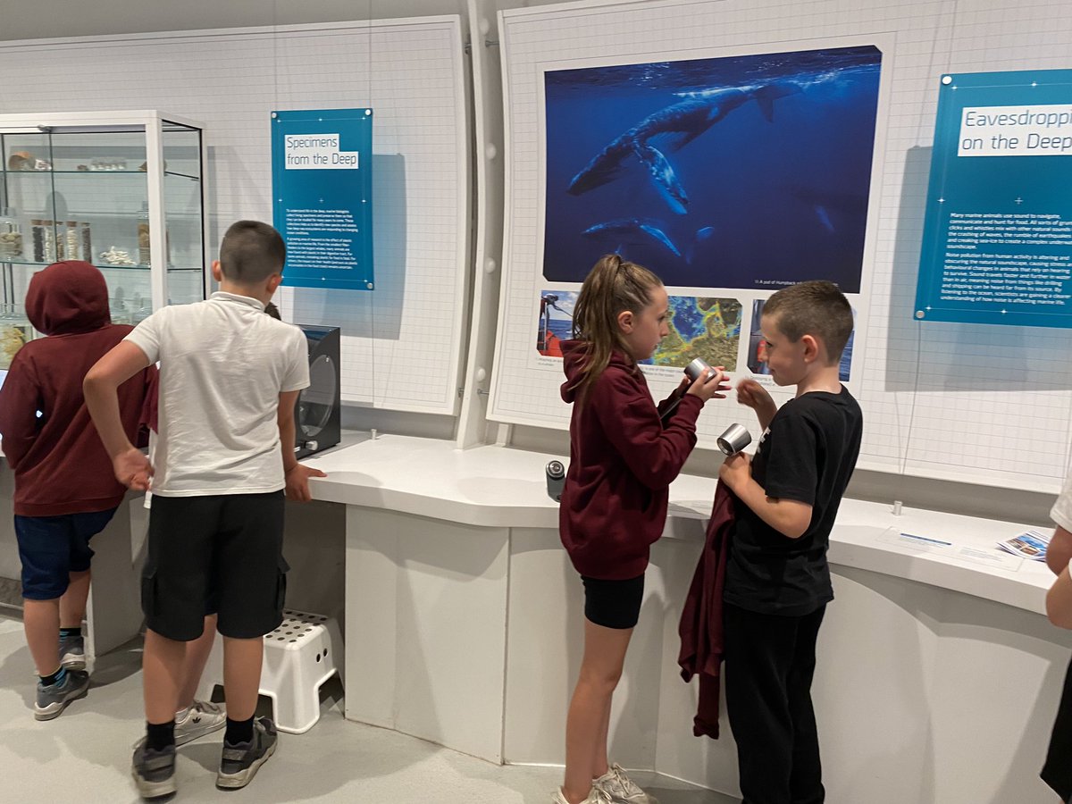 WPS Mrs M tweet media