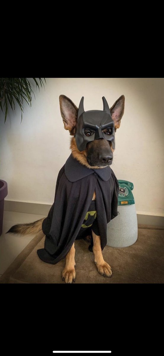 Barbara-Anne Robertson (she/her/hers) tweet media