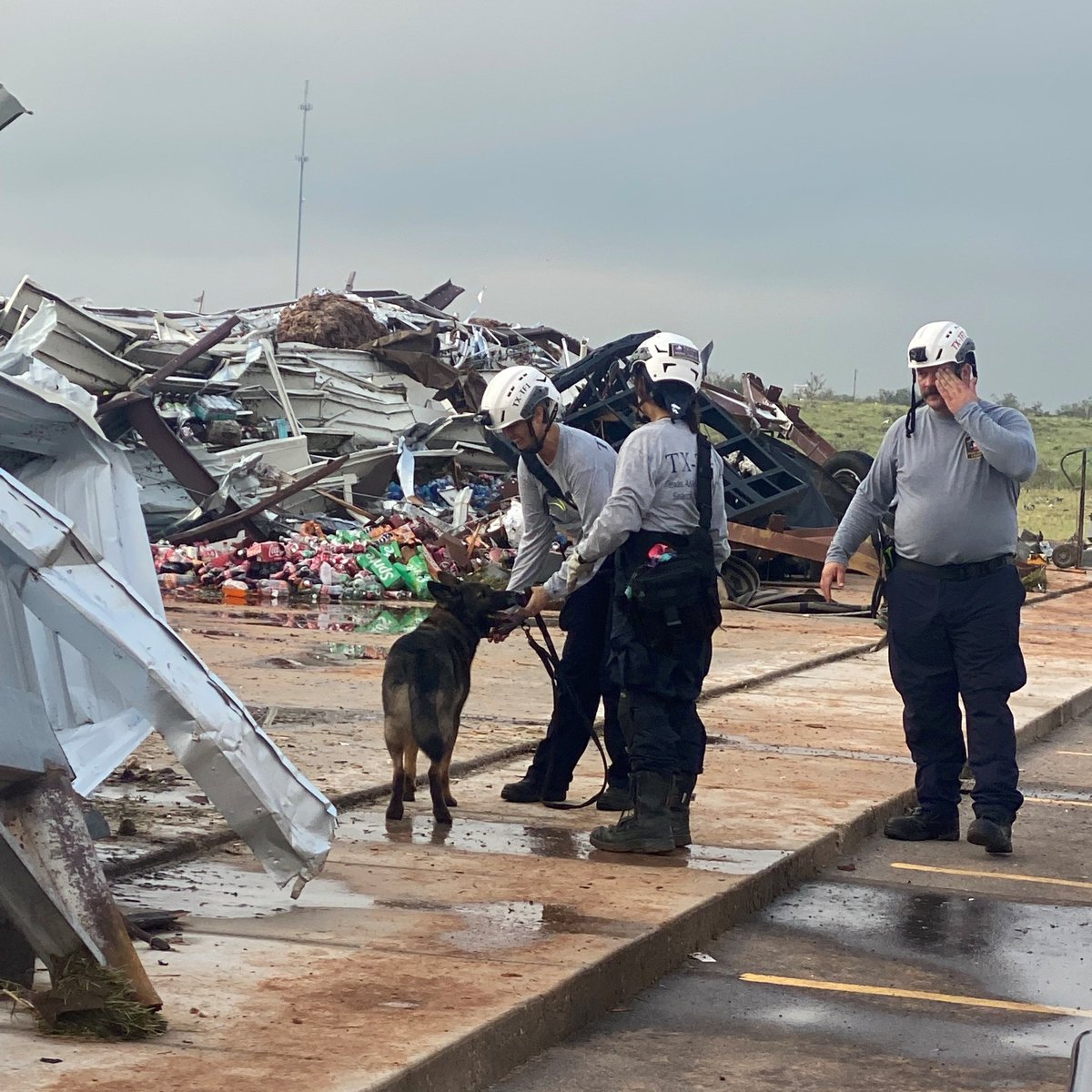Texas A&M Task Force 1 tweet media