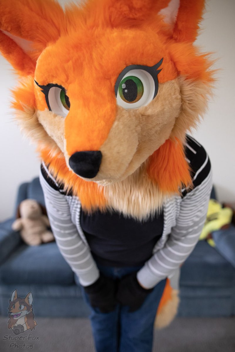 Stuperfox tweet media