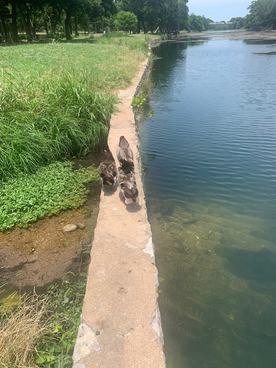 RedStarErica's tweet photo. Enjoying the park (@ San Gabriel Park, Georgetown, TX in Georgetown, TX) https://t.co/kxLPKYzpCb https://t.co/jkOUhssXVa
