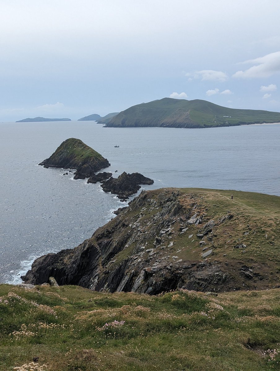 VixG's tweet photo. Dunmore Head. The views at the top are breathtaking #dinglepeninsula #WildAtlanticWay #dunmorehead #kerry 🇮🇪💚 https://t.co/V7vvi6iXUP