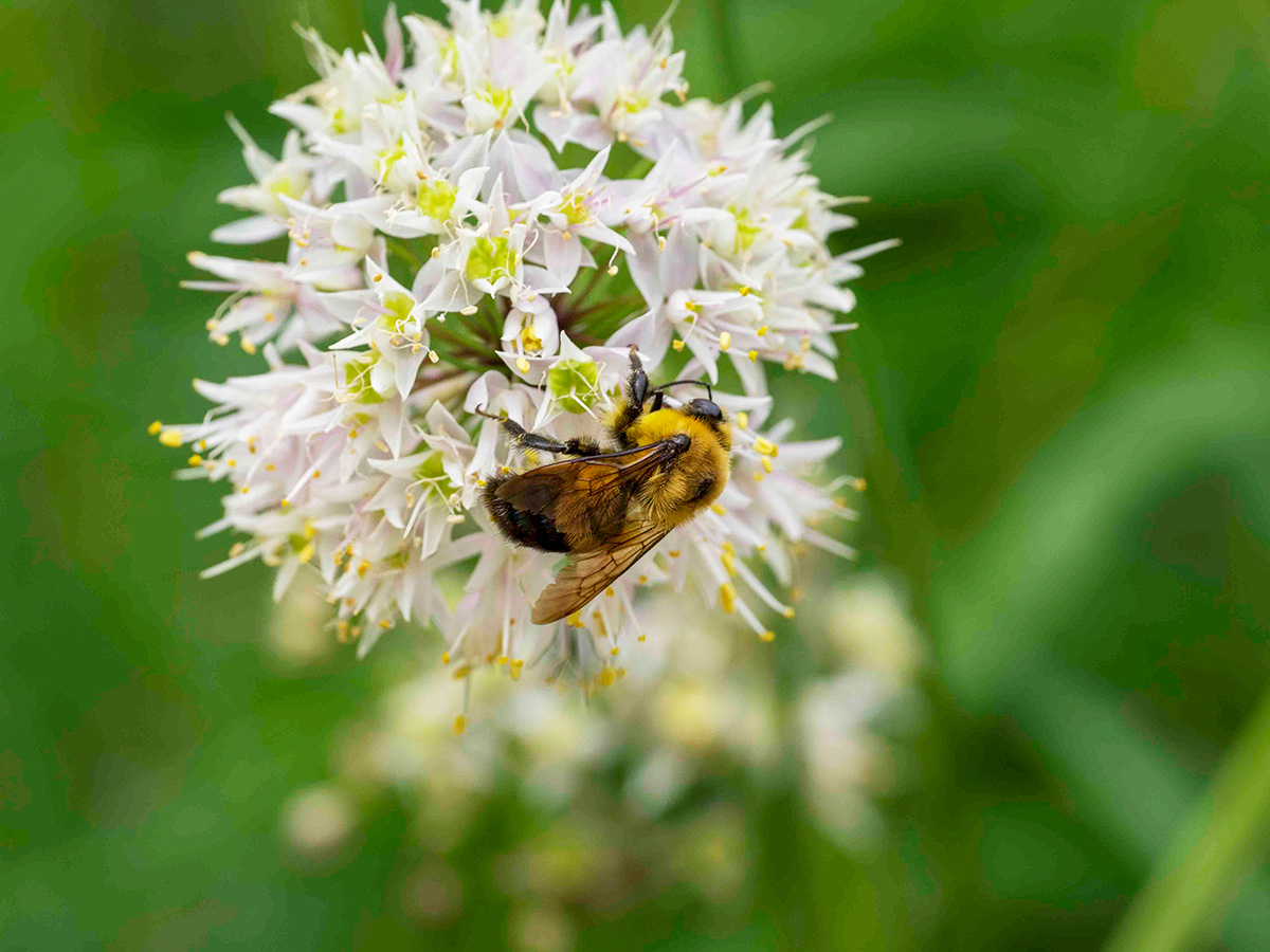 Nebraska Game and Parks on Twitter "Are you ever curious what type of