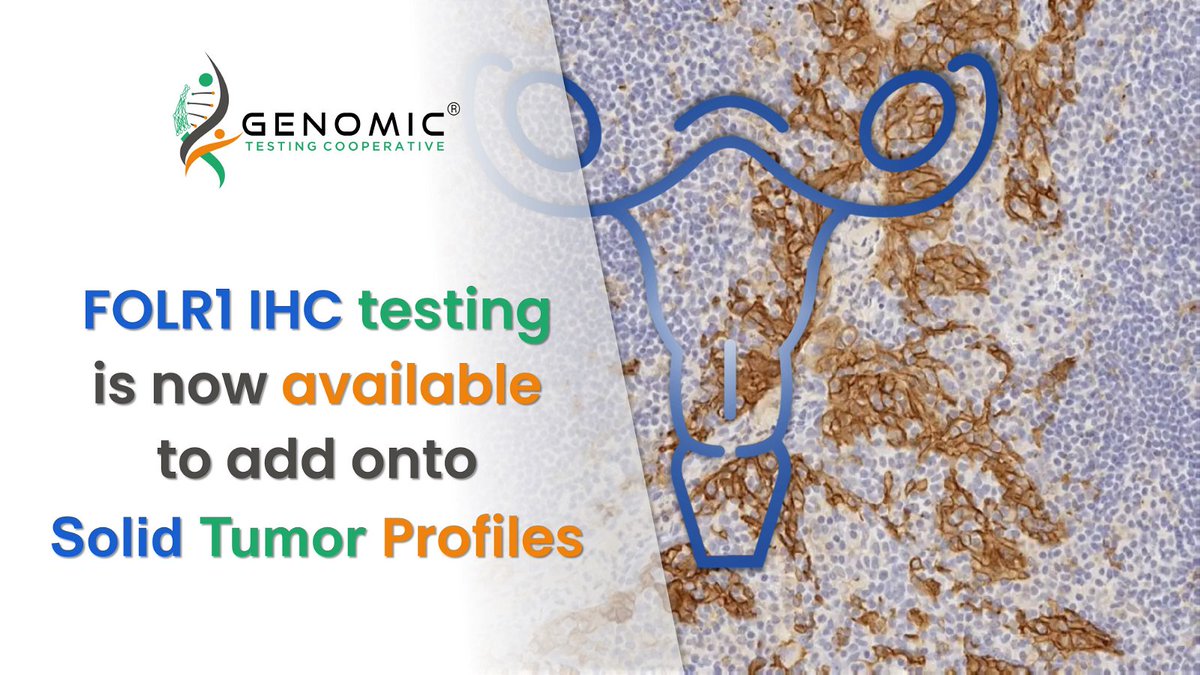 GTC now offers FOLR1 IHC testing for ovarian cancer patients as an add on to our Solid Tumor Profile and Solid Tumor Profile Plus.

genomictestingcooperative.com/ihc-testing/

#FOLR1 #Ovariancancer #IHC #GenomicTestingCooperative