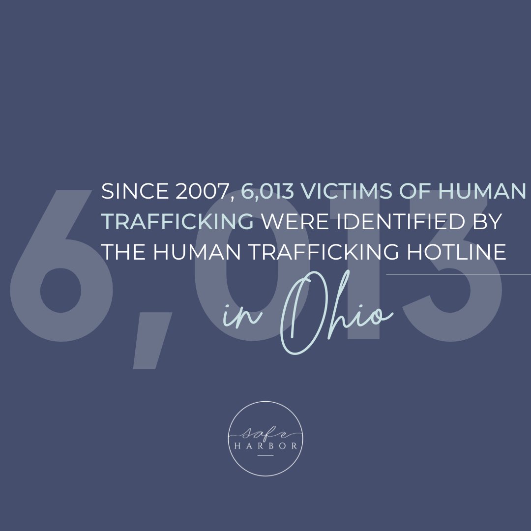 Since its inception, the Human Trafficking Hotline has identified 3,102 cases of human trafficking in Ohio, 6,013 victims were identified in these cases.

#safeharborohio #humantraffickingohio #sextraffickingohio