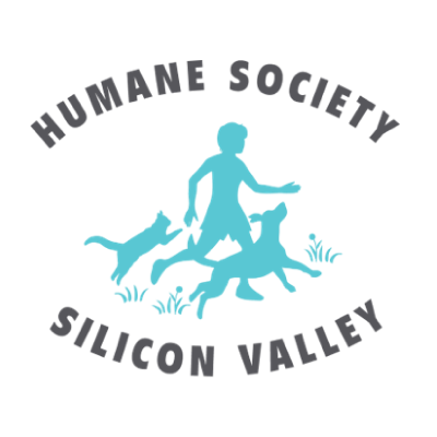 giveblood's tweet photo. Support our community with SBC's Give Good Program!💙Donate points to partners like the Humane Society of Silicon Valley (HSSV).🐾Points become dollars, gifted to HSSV for pet adoptions, microchipping, and affordable vet care. Learn more https://t.co/fldCFMQZP4 #donateblood #HSSV https://t.co/1eYSh8ATis