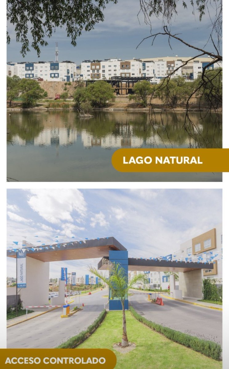 vivesittia's tweet photo. ¿Buscas un lugar seguro y cómodo para vivir? 
Sittia Residencial te ofrece eso Y MUCHO MÁS. 
El mejor desarrollo Residencial de Cuautitlán Izcalli tiene sus puertas abiertas para ti y tu familia. 
¿Le vas a negar a tu familia una oportunidad única para vivir como se merecen? https://t.co/jFewRGwYgi