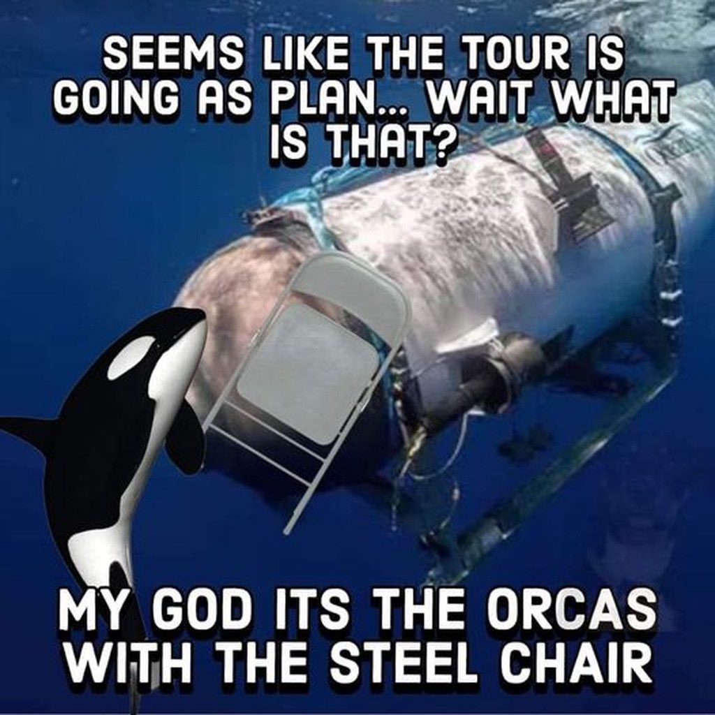 #OrcaUprising #MemeWars Seawolves