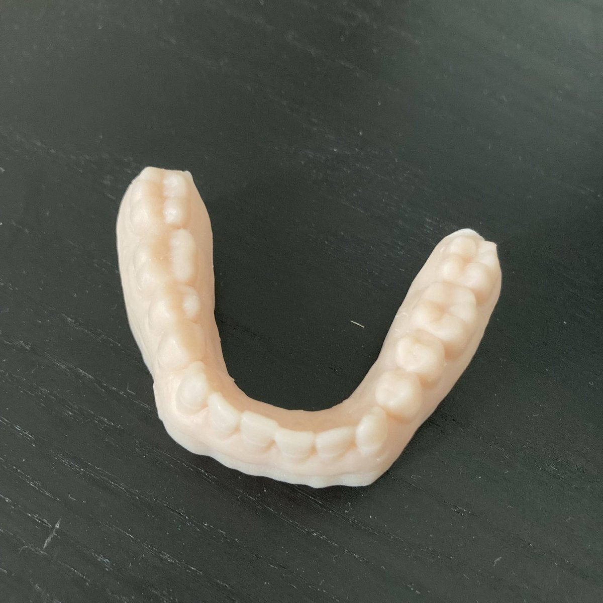 I got a 3D print of my lower teeth at the dentist today! I found it so cool to have a model of what my #neuralcrest did few years ago 🤩🤓
