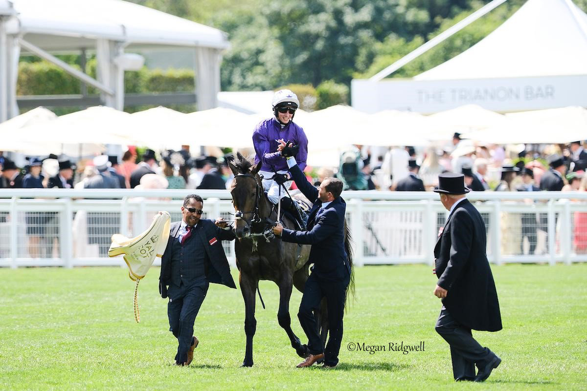 theTDN's tweet photo. 👑 Outrunning his 150-1 odds, VALIANT FORCE (Malibu Moon @spendthriftfarm) pulled off a tremendous win in the G2 Norfolk S.
O: @amoracingltd /Mrs R O'Callaghan/G De Aguiar
B: Ramonn Horta Rangel & Spendthrift
T: Adrian Murray
J: @Rossaryan15
TDN Recap: https://t.co/gMgh0GDa8c https://t.co/GkpoipgiD0