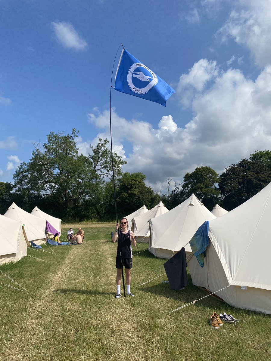 goodchildUK's tweet photo. Seagulls at Glastonbury! Come find the flag to talk all thing #bha https://t.co/QJYk3fCHiC