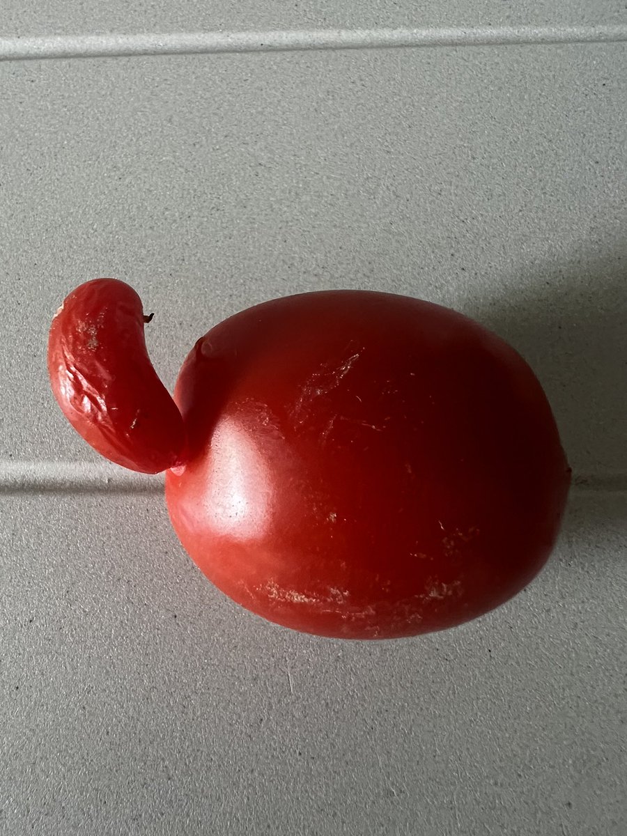 PowerBaldax's tweet photo. 😳 Pomodorini “arzilli”…
#cucinando https://t.co/4DgoFaadP3
