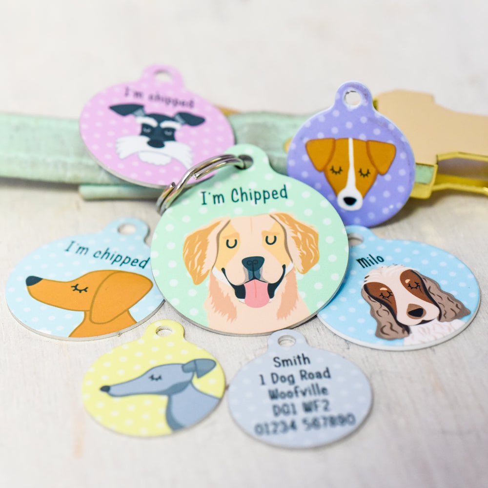 The pet tags for £5 offer will end tonight so this is your last chance to grab a bargain.

hoobynoo.co.uk/collections/sa…
#dogsoftwitter