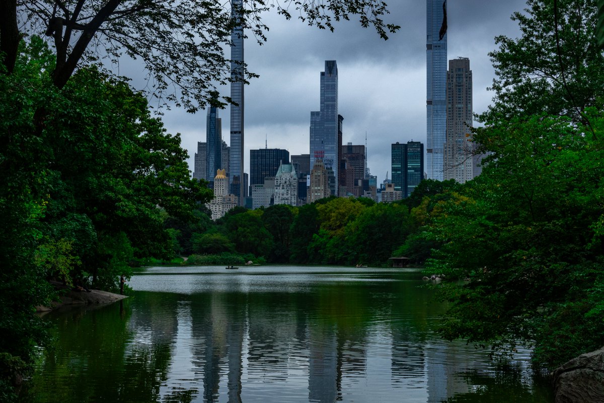 CraftingSoulful's tweet photo. GM, even on cloudy days we can appreciate the beauty that is nature. Exploring one of my favorite places, Central Park.

#centralpark #cloudydays #tellyourstorystudios #photographylovers https://t.co/rEWdvDsjvM
