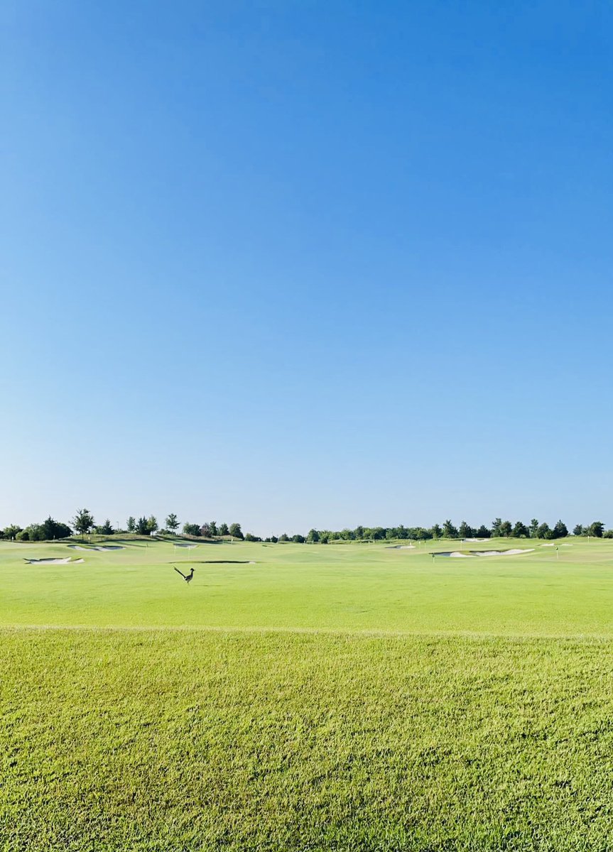 Jackson Jeffrey sent these in from Dallas National, where he’s interning this summer! 🤩
#shsupga #internships #shsu