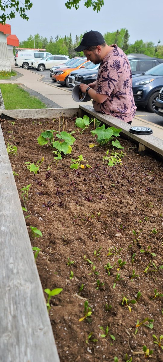 m_r_cook's tweet photo. Our last compost for this school year!  What a fun project!  Thanks @CorpsNL !!! We are looking forward to a full year of composting @Clarenvillehigh starting in the fall! https://t.co/vZYRYHEqja