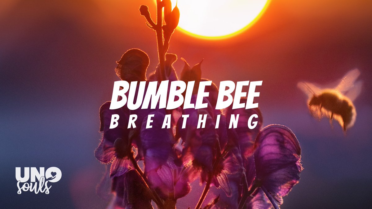 UNOSouls's tweet photo. Bumble Bee Breathing 🐝 🌿  

https://t.co/LCPcj4qute

Breathing exercises are amazing, because what we know for sure is that we are in touch with our breath at any moment. And also deep breaths can help minimize anxiety, stress and all kinds of emotions. Join us! https://t.co/zxQZO4rjIW