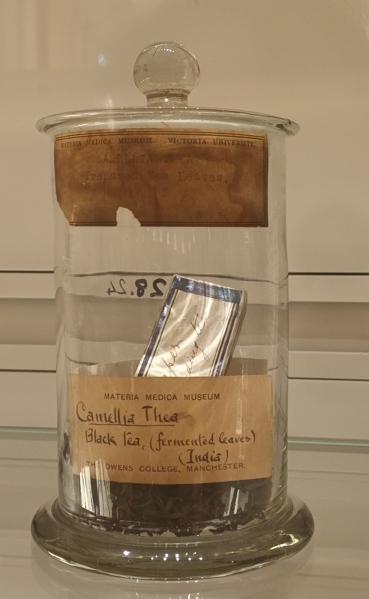 exetercdfresearch (@cdfresearchexe) on Twitter photo Don't forget to register for <a href="/immersivetrails/">Immersive Trails</a> one-off tea event online Sat 24th 10 am UK 2.30 India and Sri Lanka. Register here us06web.zoom.us/meeting/regist… Don't forget to register for <a href="/immersivetrails/">Immersive Trails</a> one-off tea event online Sat 24th 10 am UK 2.30 India and Sri Lanka. Register here us06web.zoom.us/meeting/regist…