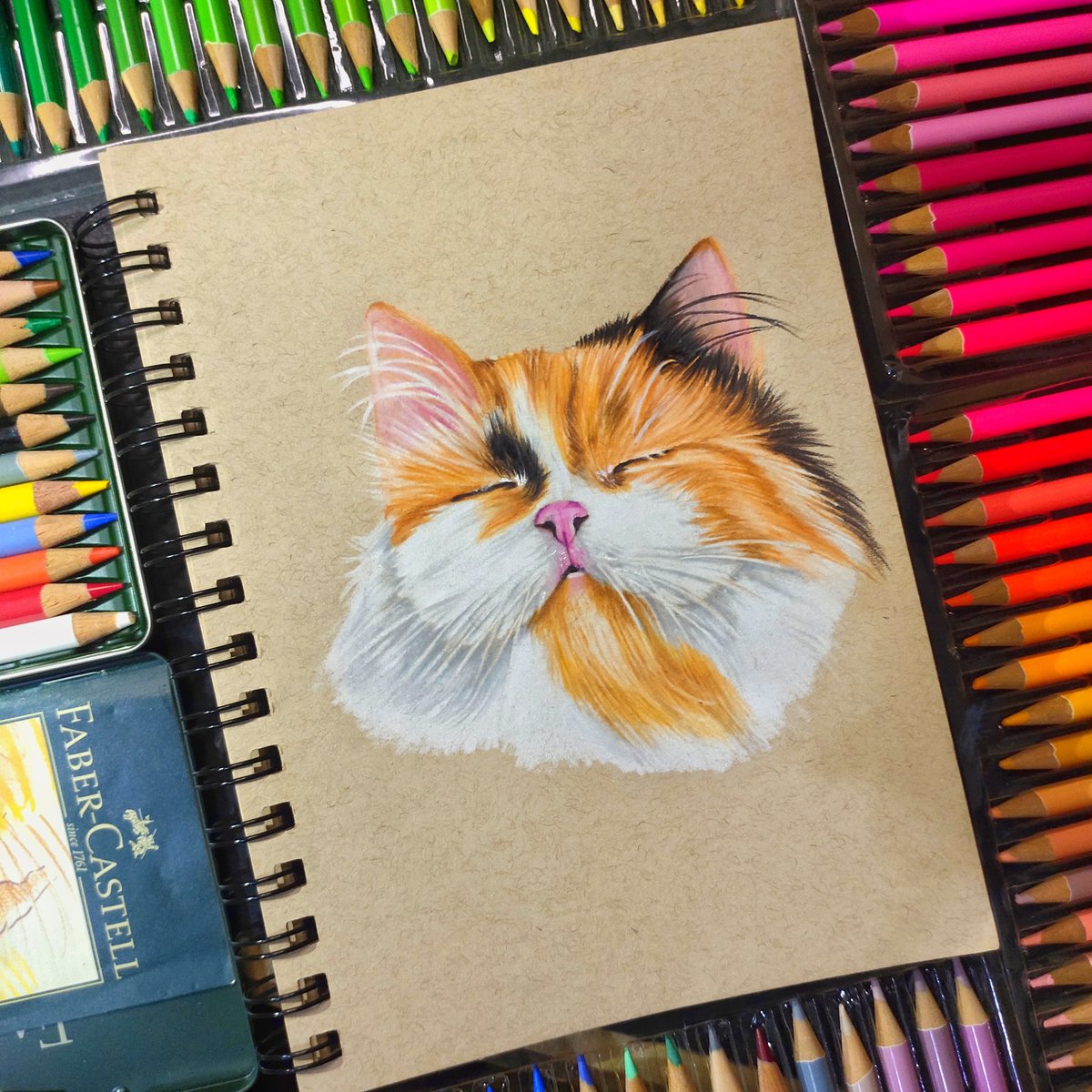 ciksemmiee's tweet photo. A good night pet portrait for the day!

#SemmieArts #Malaysia #petpotrait #fabercastell #arts #artsofmalaysia #senimalaysia #malaysia #karyaseni #petpainting #pet #cat #catlovers https://t.co/qIfRB3Xk5s