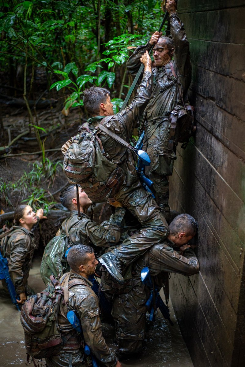 SaintCyrCoet's tweet image. [ Se confronter à l’enfer vert ]
Humilité, dépassement de soi et sens du collectif.
Félicitations aux élèves-officiers de la Promotion Le Cocq qui se sont vu remettre leur brevet aguerrissement.
Selva !
#FiersDeNosSoldats
📸 @Chefdecorps3REI - #CEFE