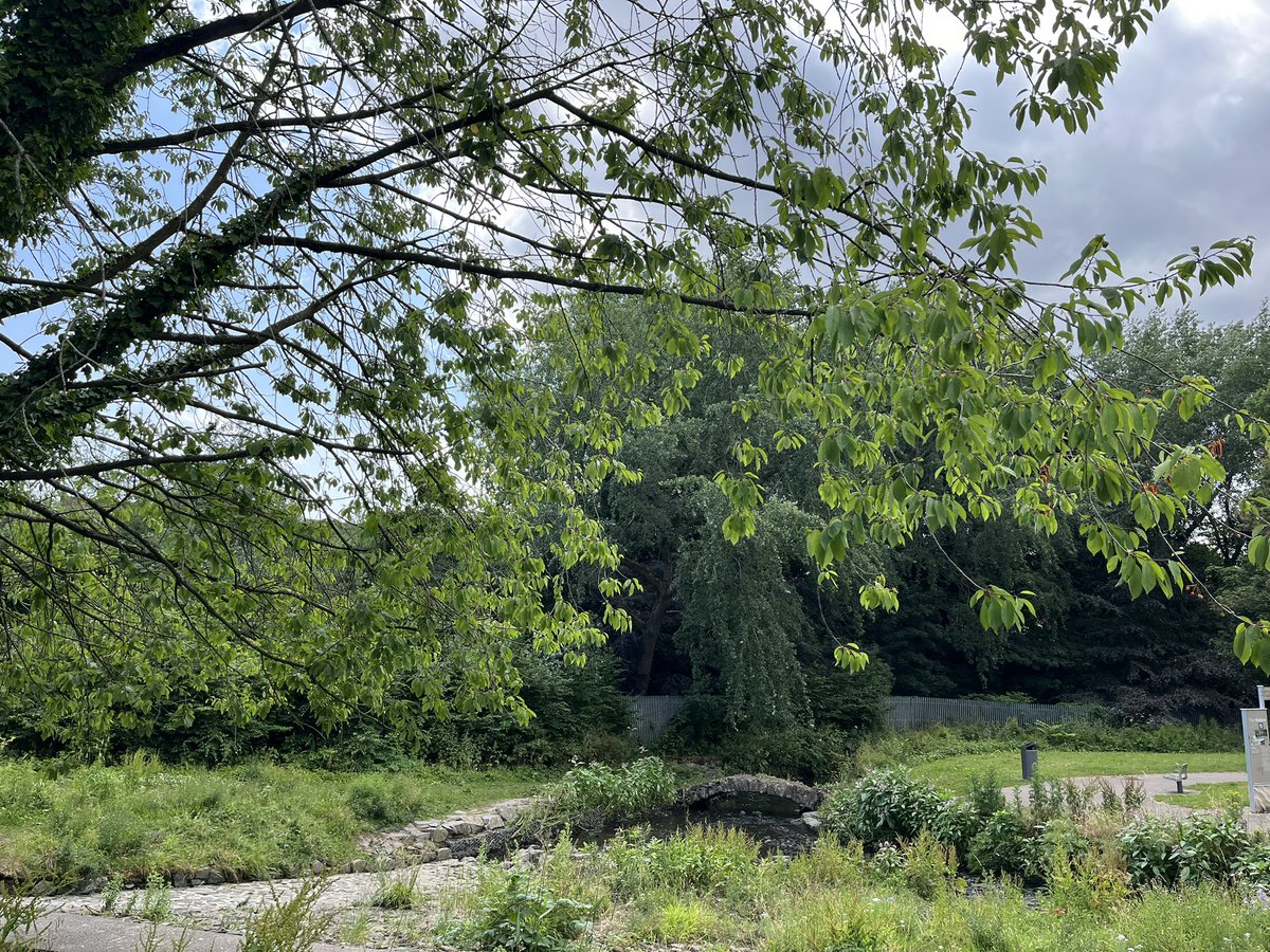 DrAmandaSlevin's tweet photo. What a stunning day to be at famous ‘Hollow’ on @ConnsGreenway for 2nd @SECA #ConnectingWithNature workshop led by Dan Shipsides
Co-hosted by @GroundswellCon @EastSidePartner WS engaged a diverse group & local #community around #drawing #art #environment #GreenandBlueSpaces https://t.co/LCJjoGLovA
