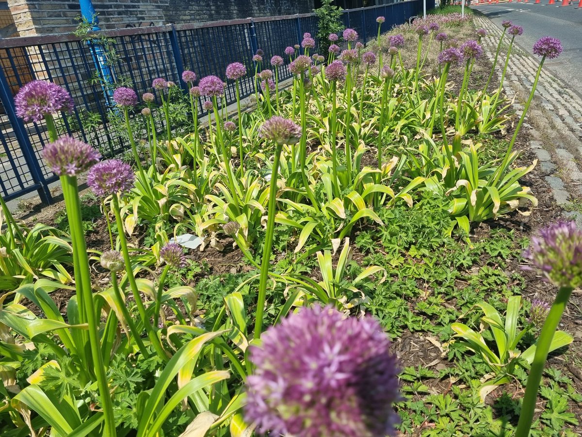 J Paxman Landscapes Ltd tweet media