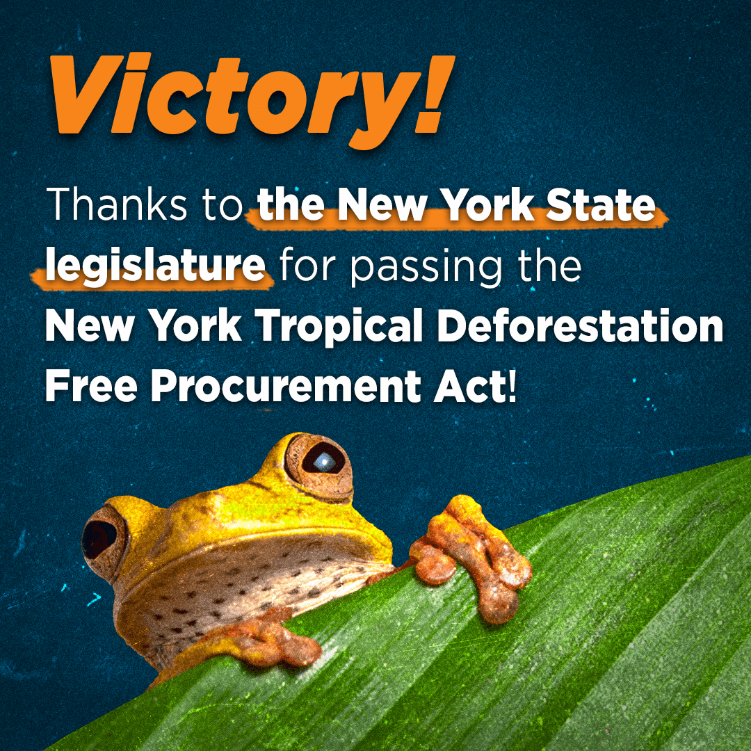 foe_us's tweet photo. Good News 🎉the New York Tropical Deforestation Free Procurement Act has passed, marking a huge victory in our efforts to #DefundDeforestation 👏
Thank you to NY's state legislature for making this happen!
@LizKrueger @kenzebrowski_ny https://t.co/DCbDjohEdC