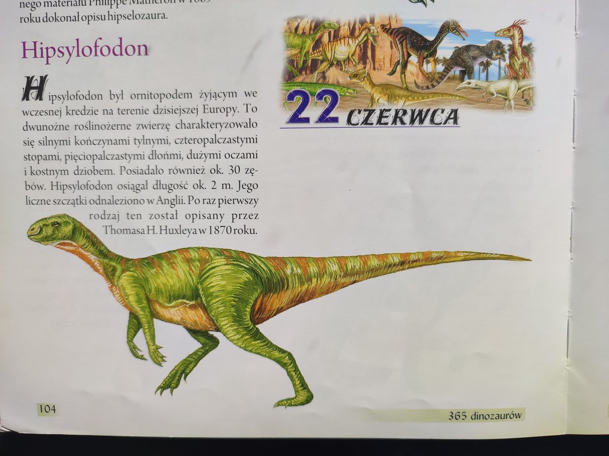 22 czerwca - Hipsylofodon 🦖