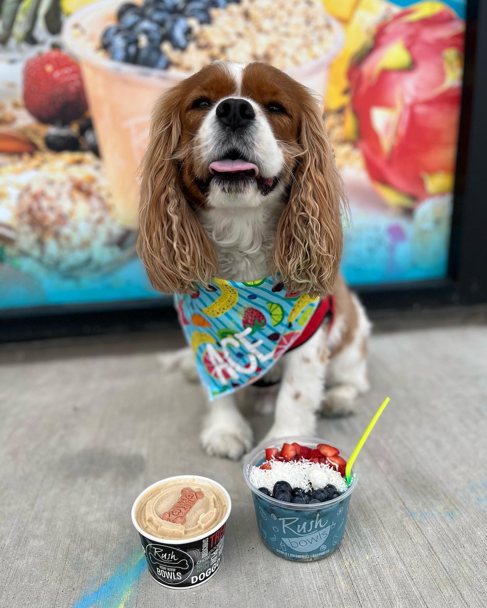 The Streets tweet media