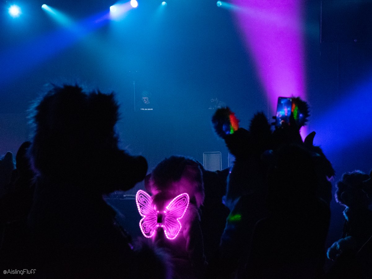 Friday's #Anthrocon dance lineup! 

🎶 10pm Riley Winters (Pop Evolution/House)
🎶 11pm Swedish Dog Mafia (Dogs and cats make noise)
🎶 12:30am DJ Woozie (Hip-hop/Rap/Trap/Dancehall)
🎶 1:30am Kigu Boys (Dance/Bass/Hip-hop)

📸 <a href="/AislingFluff/">Aisling</a>