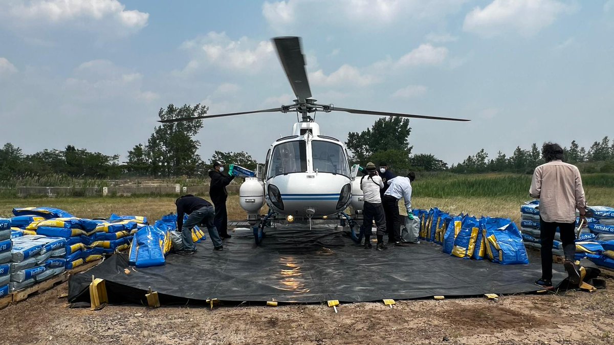 nycHealthy's tweet photo. It's #MosquitoControlAwarenessWeek! To reduce the number of mosquitoes in NYC and lower the risk of West Nile virus, each summer, we drop eco-friendly larvicide over marshes and other large natural areas to kill young mosquitoes before they become adults: https://t.co/Lgj45OqCsE https://t.co/htqjp7L1yy