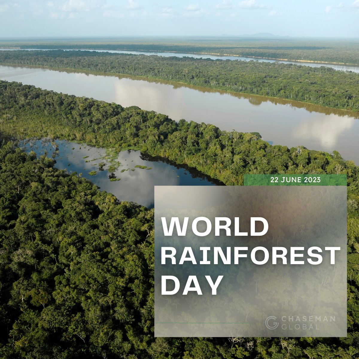Happy World Rainforest Day! 🌳🌿

Together, we can make a difference by supporting sustainable practices, promoting reforestation efforts, and advocating for stronger protection measures. 🌱🤝🌍💚

#TogetherForOurPlanet #GreenFuture #SaveOurRainforests #lifesciences