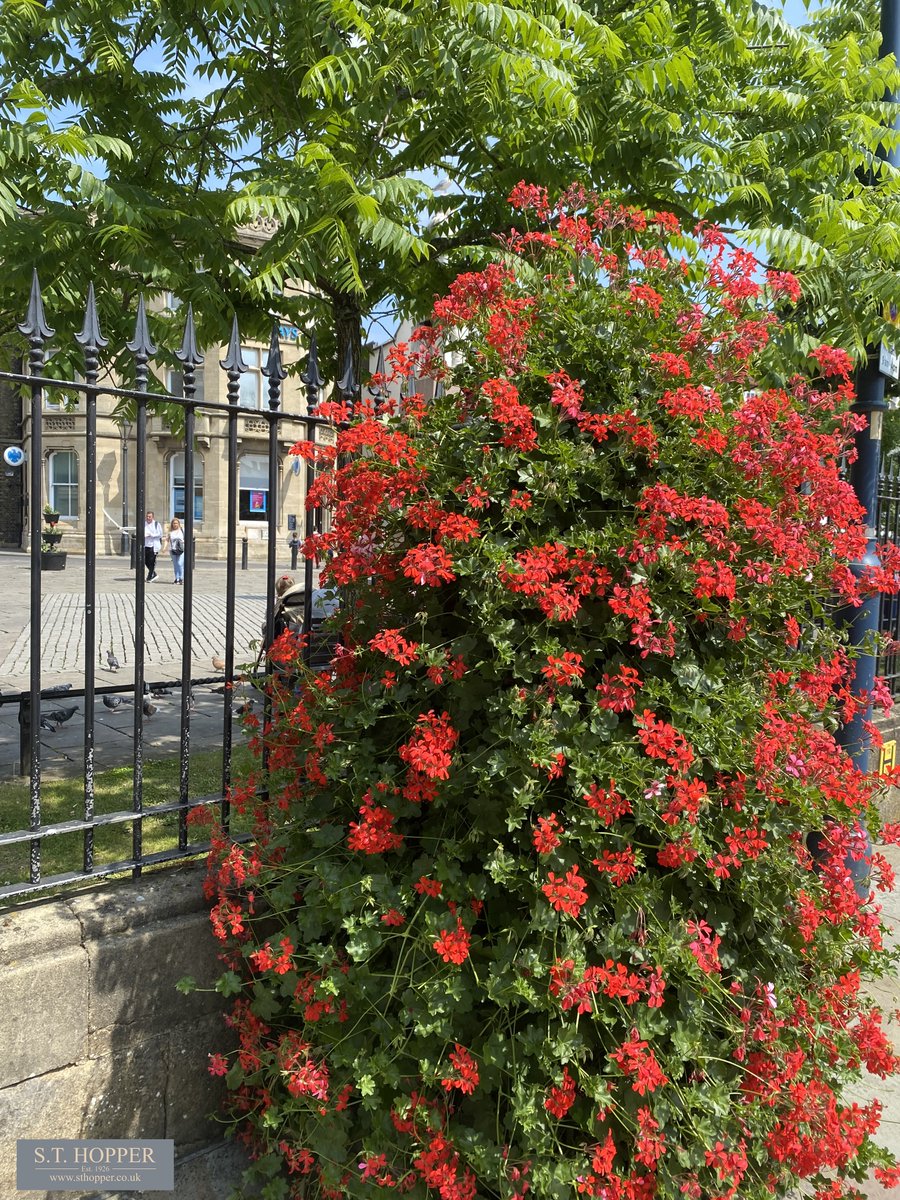 Hoppers Jewellers tweet media