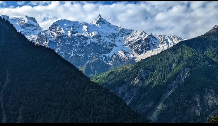 ShivNegi481's tweet photo. @Nature https://t.co/QwErYPxaR4