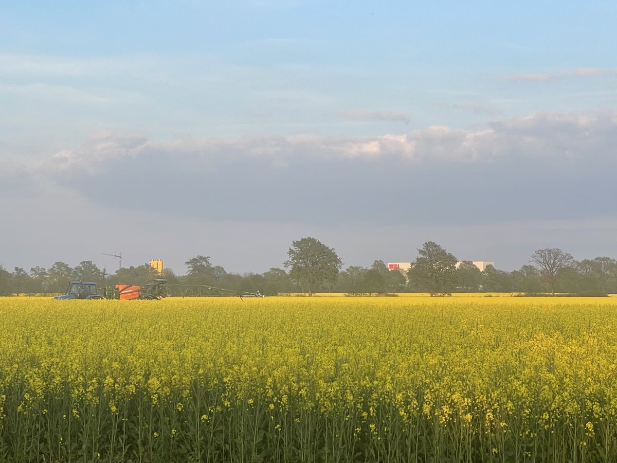 WISKAHoppmann's tweet photo. We continue to sponsor this year's local "Blühpate Kaltenkirchen" project, supporting partnerships covering 8,400m². Our flowering area near Graßhofstraße provides valuable habitat and food for insects. 🌼🐝🦋
#WISKA #nature #TogetherForTheNature #biodiversity https://t.co/eqNTqRW318