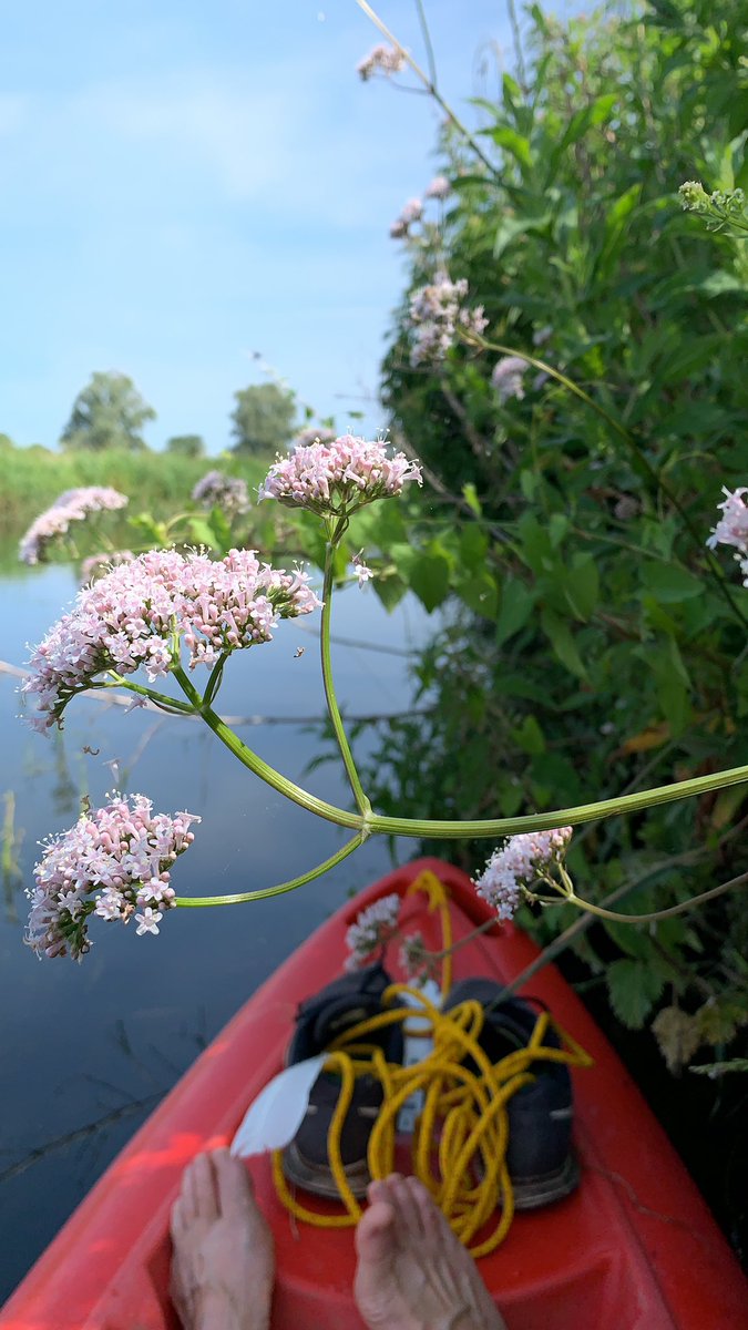 <a href="/patrick_barkham/">Patrick Barkham</a> <a href="/SouthwoldBooks/">Southwold Books</a> Loved the talk, and wasn’t it a magical setting! Swims to the pier the best!  However, inspired to get on the Waveney this morning for a peaceful paddle