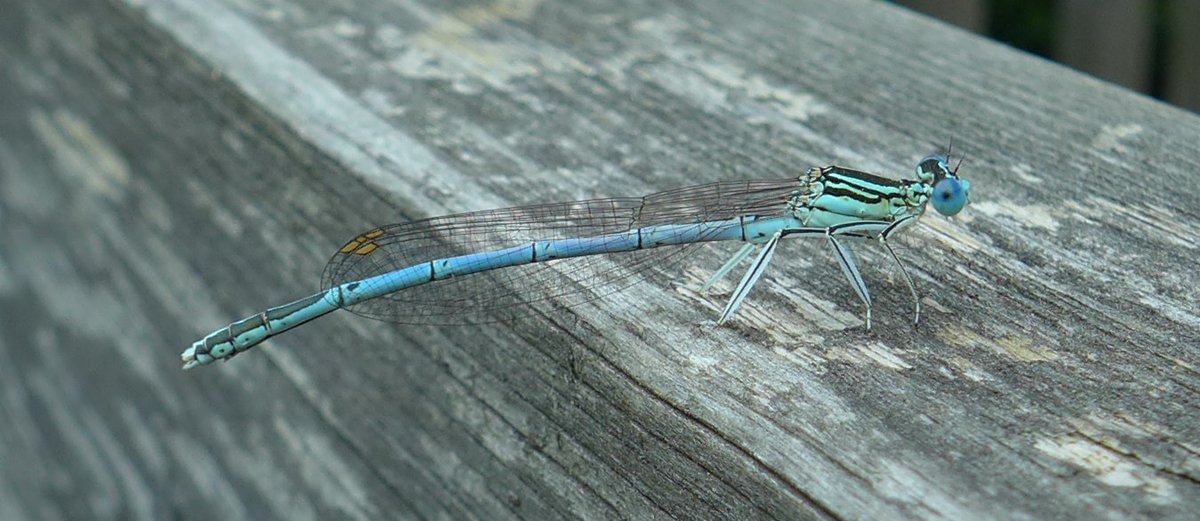 Simon Knott tweet media