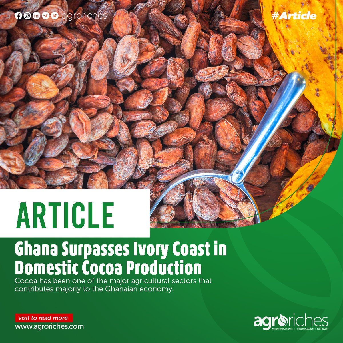 Ghana surpasses Ivory Coast in cocoa production.
Visit our website, agroriches.com to read more.

#agroriches #agriculturaltrends #agriculturenews #african #women #agricultureinghana #ghana #articles #farming #growth #food #agriculture #technology