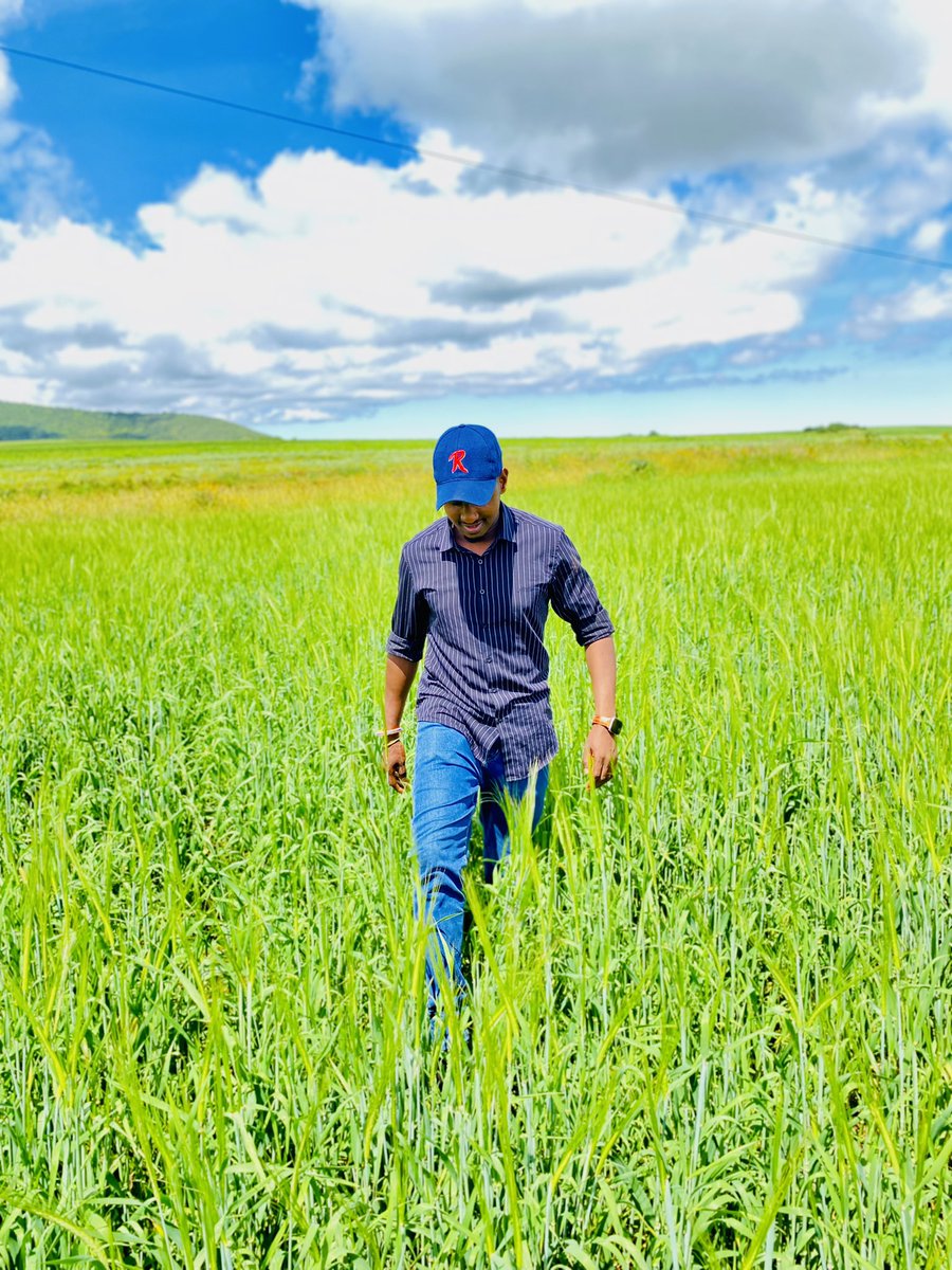 Not Every classroom has four walls. #GreenEnergy #Greenland #Climateaction #kerikaolelemoyan