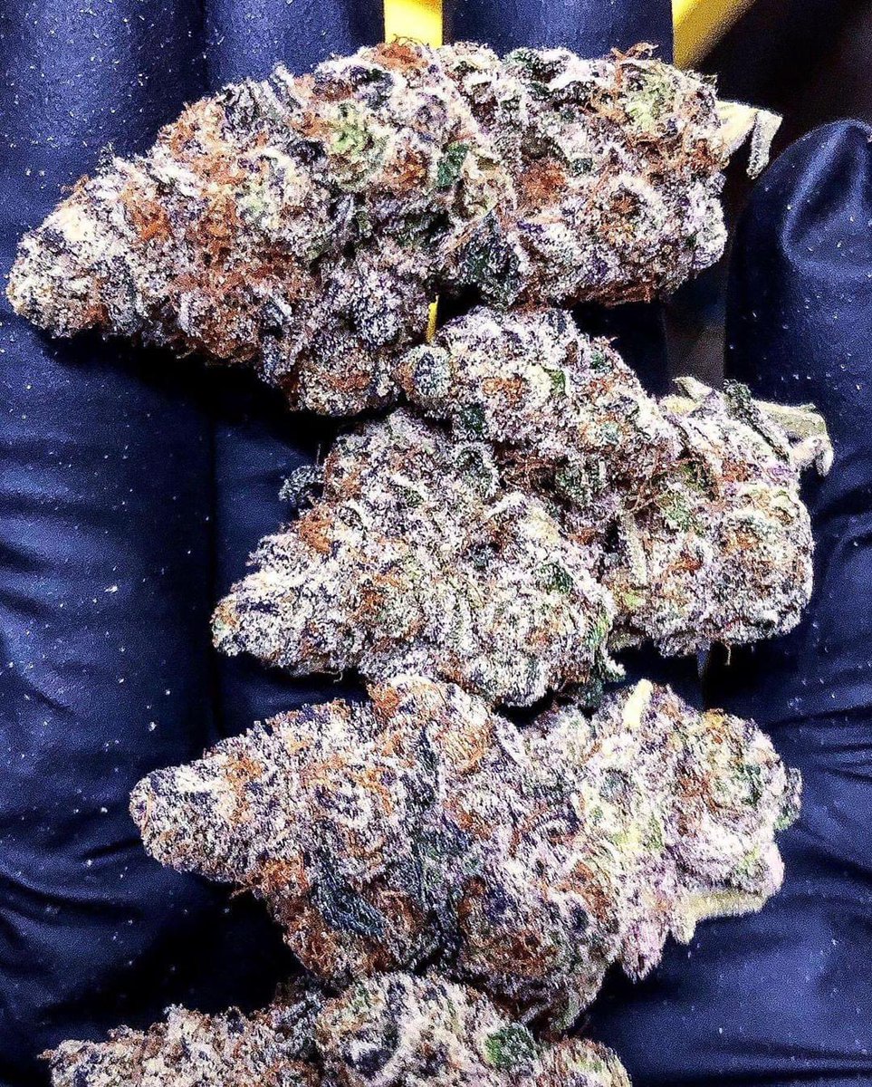 Martian Candy X The Mac 🌱🍁

Mac always comes out 🔥🔥

#Weedmob #cannabisculture #WeedLovers #Mmemberville #cannabisusa #Weed  #growyourown #420community #CannabisCommunity #cannabisindustry #Growmies #cannabisculture