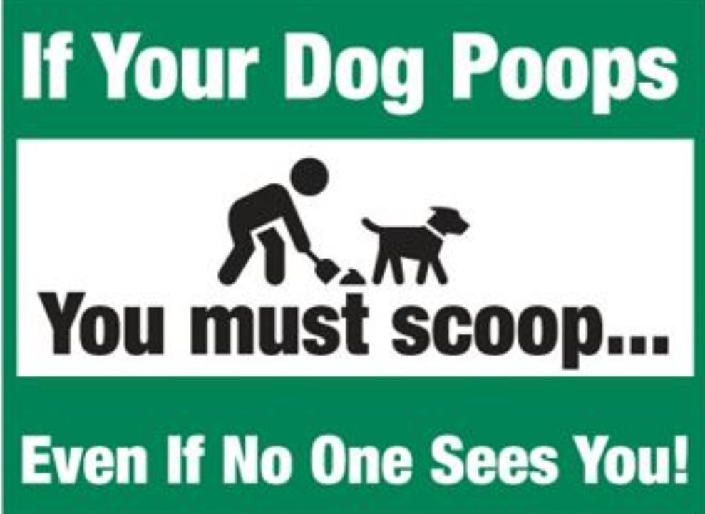 If you do not wish to pick it up, call us to do it for you. #Doggiedoo #Springfieldmodogs #Springfieldmopets
#Dogofspringfieldmo
#417dogs #Springfieldmo #nixamo #republicmo #ozarkmo #RogersvilleMO