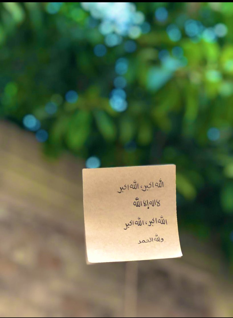 استغفِـروا، هللِّـوا، كبِّـروا ، سبِّحـوا
مادمتم احياء على هذه الارض.🌱