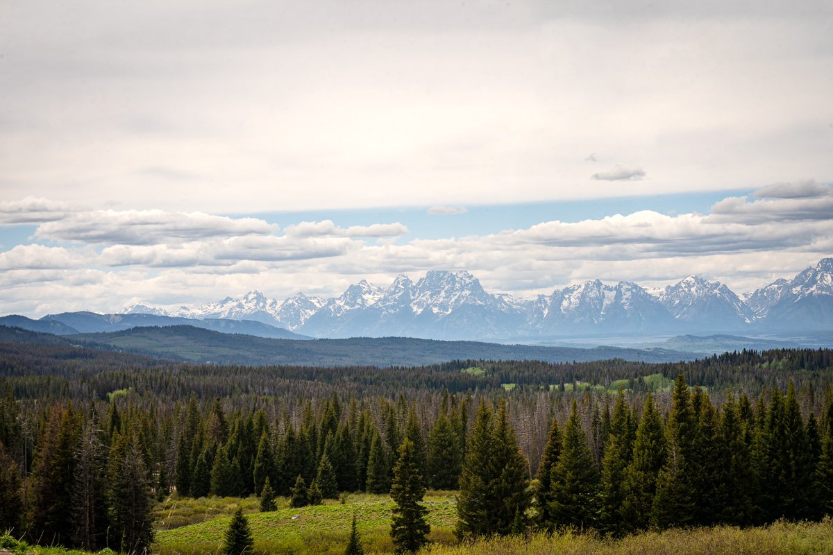 KyleLinebaugh's tweet image. 🏔️