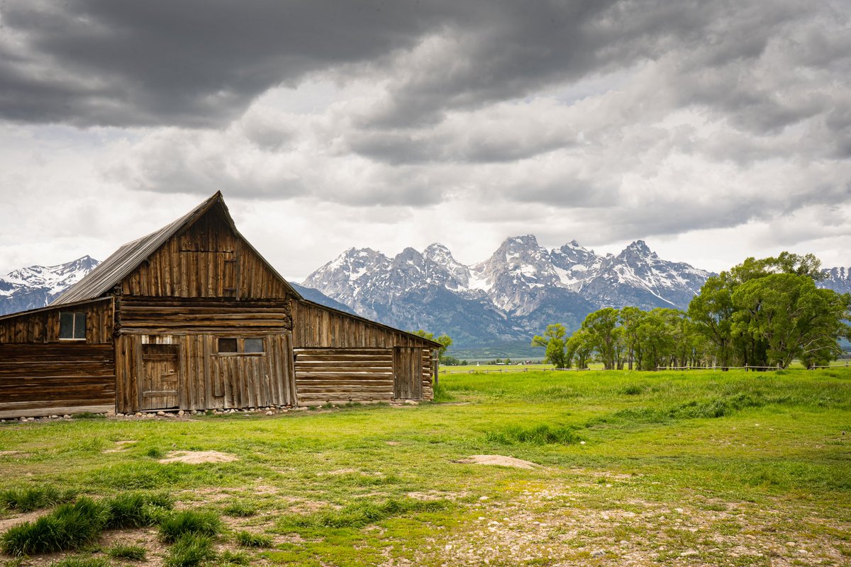 KyleLinebaugh's tweet image. 🏔️