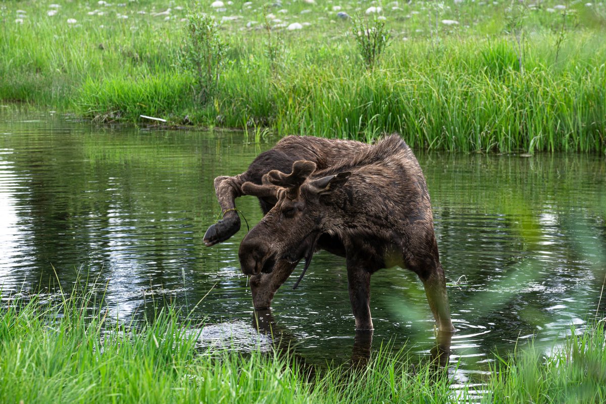 KyleLinebaugh's tweet image. 🏔️